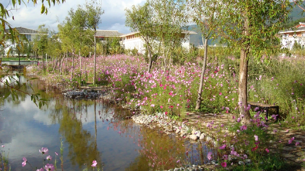 云南大学旅游文化学院——校园景观图(小径)