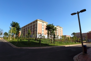 美丽云南大学